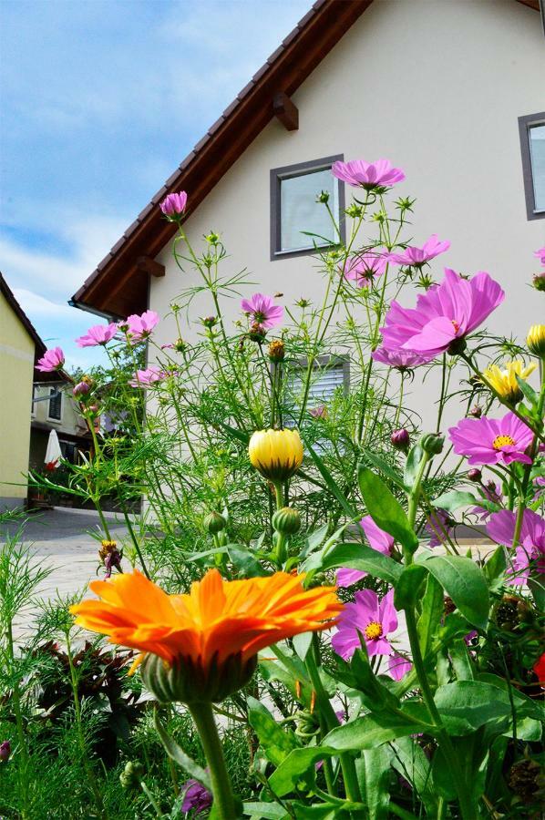 Haus Rosy Ferienwohnung ستوبيبرغ المظهر الخارجي الصورة